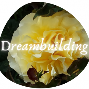 Dreambuilding Coaching Services